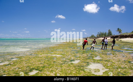 Dans le transport des pêcheurs des filets de pêche à marée basse sur la côte de Pangane , au Mozambique. Banque D'Images