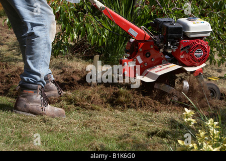 L'homme portait un jean et des chaussures de sécurité fonctionne jardin à essence rotavator utilisé pour battre le sol de un jardin newtownabbey Banque D'Images