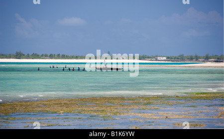 Les pêcheurs debout dans l'eau, le transport dans les filets de pêche à marée basse sur la côte de Pangane , au Mozambique. Banque D'Images