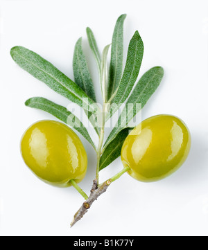 olives vertes Banque D'Images