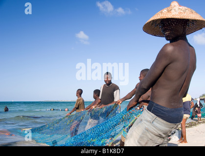 Dans le transport des pêcheurs des filets de pêche sur la plage de Pangane , au Mozambique. Banque D'Images