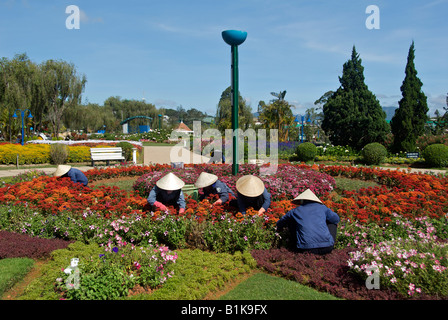 Vietnam Dalat Dalat Flower Gardens Banque D'Images