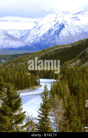 Paysage de hautes montagnes enneigées avec evegreen arbres et rivière gelée Banque D'Images