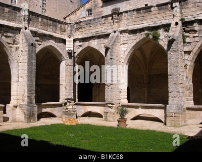 Cloître de la Collégiale Villeneuve lez Avignon France Banque D'Images