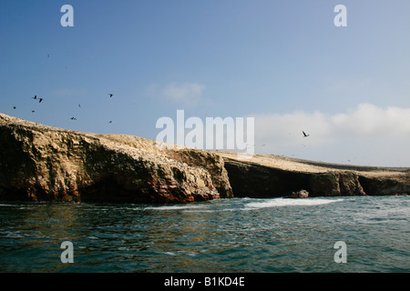 Iles Ballestas Réserve Nationale de Paracas au Pérou Banque D'Images