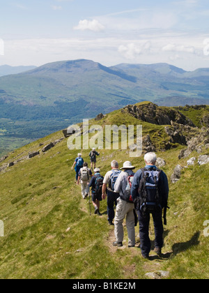 Groupe de randonneurs gallois marche sur chemin de crête sur Moelwyn Mawr dans le parc national de Snowdonia en été. Croesor North Wales UK Grande-Bretagne Banque D'Images