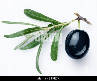 olives vertes Banque D'Images