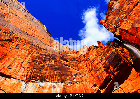 Droit à la verticale les panneaux et les murs de canyon de grès coloré près de la région de Weeping Rock Zion National Park Banque D'Images