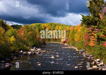 La gloire de l'automne sur la rivière Little White, district d'Algoma, dans le nord de l'Ontario, Canada. Banque D'Images