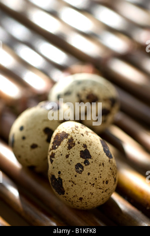 Trois oeufs de caille sur un plateau de bambou Banque D'Images