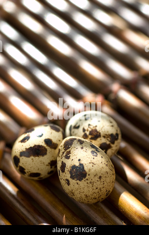 Trois oeufs de caille sur un plateau de bambou Banque D'Images