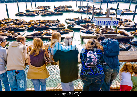 San Francisco, Californie. Pier 39 à Fisherman's Wharf. Banque D'Images