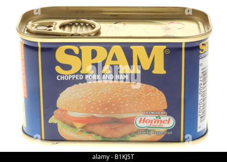 Boîtes de viande de porc transformé Spam En rétro et d'emballage des boîtes de marque isolés contre un fond blanc avec un chemin de détourage et aucun peuple Banque D'Images