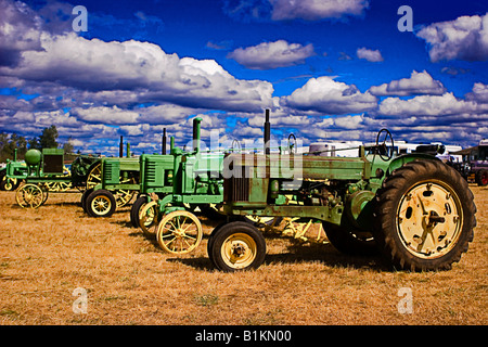 Une ligne de cinq vieux tracteurs, assortiment de styles et de fait, tous alignés dans un champ Banque D'Images