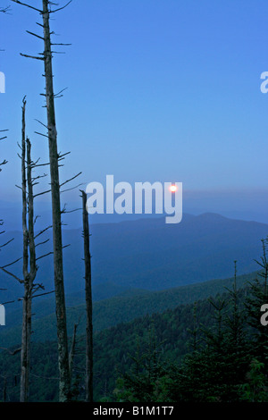 Réglage de lune Clingmans Dome dans le Great Smoky Mountains National Park Banque D'Images