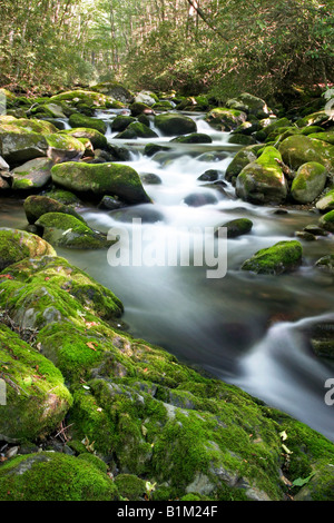 Rivière Oconaluftee dans le Great Smoky Mountains National Park Banque D'Images