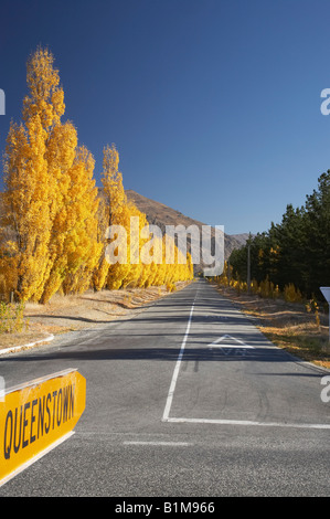 Signe de Queenstown Road Pearson et l'automne Peupliers près de Cromwell Central Otago ile sud Nouvelle Zelande Banque D'Images