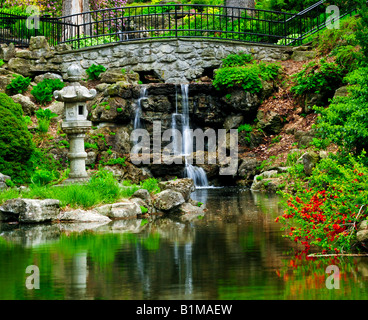 Cascade et bassin dans le jardin japonais Banque D'Images