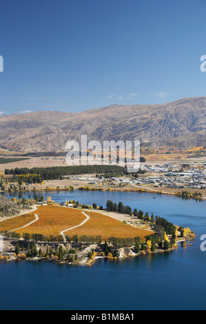 Cornish Point Vineyard and Lake Dunstan Cromwell Central Otago ile sud Nouvelle Zelande Banque D'Images