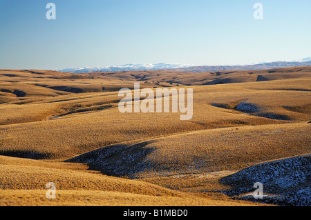 Ancienne gamme Lammermoor Dunstan Trail Central Otago ile sud Nouvelle Zelande Banque D'Images