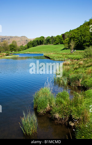 L'eau en mai l'Elter début du printemps couleurs autour de la rive du lac, 'le Lake District' Cumbria England UK Banque D'Images