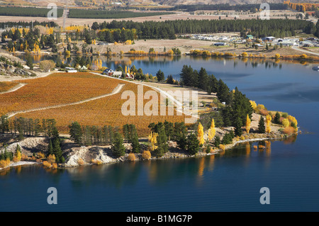 Cornish Point Vineyard and Lake Dunstan Cromwell Central Otago ile sud Nouvelle Zelande Banque D'Images