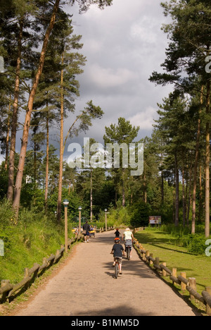 Vélo en famille à Center Parcs à Elveden près de Thetford,UK Banque D'Images