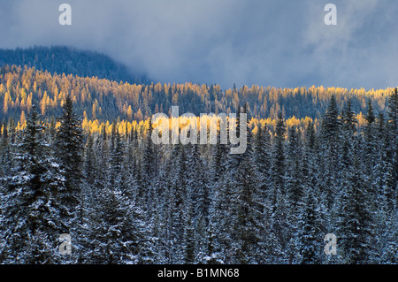 Au début de l'hiver l'orage dans les Montagnes Bleues de l'Est de l'Oregon Banque D'Images