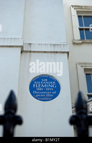 Blue plaque marquant l'ancienne résidence de sir Alexander Fleming, découvreur de la pénicilline, à danvers street, Chelsea, Londres Banque D'Images