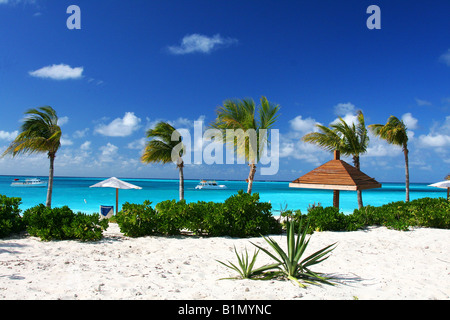 À la plage on Grace Bay Banque D'Images