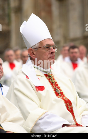 Le très révérend David Thomas Assistant provincial assiste à l'Évêque Pèlerinage à Glastonbury Glastonbury Abbey Juin 2008 Banque D'Images