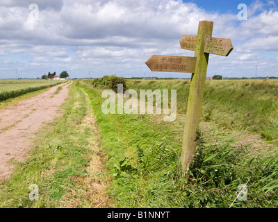 Panneau en bois indiquant des sentiers publics et de pistes cavalières dans les marais, East Yorkshire, England, UK Banque D'Images