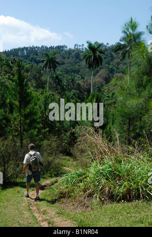 Personnes âgées randonneur dans les forêts de conifères de Topes de Collantes Trinidad Cuba Avril 2007 Banque D'Images