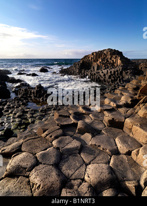 Le site du patrimoine mondial de l'UNESCO, Giants Causeway, North Coast, County Antrim, Irlande du Nord Banque D'Images