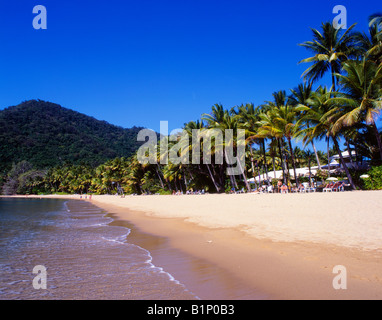 Plage tropicale avec des palmiers et un ciel bleu clair, sable doré et toile de fond de montagne Banque D'Images