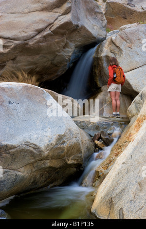 Un randonneur bénéficie d'une chute d'eau à la première Oasis Palm Palm Canyon Anza Borrego Borrego Desert State Park en Californie Banque D'Images