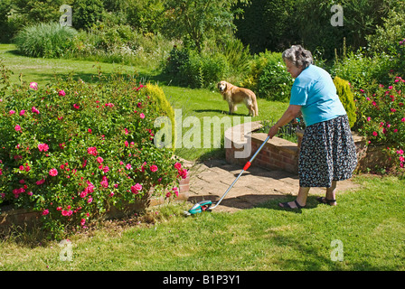 Chien gardé à une distance sécuritaire tout en bordure de pelouse mécanisée dans l'utilisation de l'outil jardin tondeuse Banque D'Images