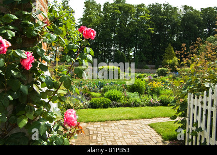 Rosiers grimpants roses à l'entrée du jardin au château de Miromesnil en Normandie France UE Banque D'Images