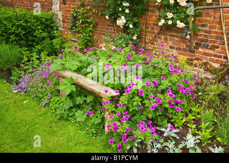 Assise en bois et hardy géraniums dans la bordure herbacée dans le jardin clos en Normandie France Banque D'Images