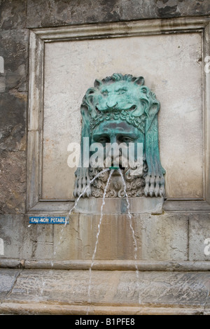 Fontaine en Arles, Provence, avec détails en cuivre de l'homme à la tête avec les pattes des lions à la fin de ses cheveux. Banque D'Images