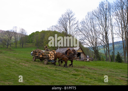 Se connecter Bieszczady Pologne Banque D'Images