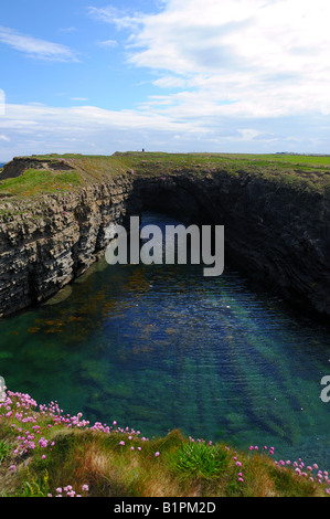 Le Pont de Ross. Un pont naturel formé par les grès carbonifère de Ross. Le comté de Clare, Irlande. Banque D'Images