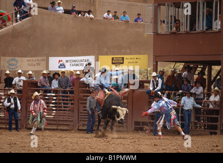 Gallup, Nouveau Mexique, USA - Native American cowboy monte un taureau dans un rodéo indien événement. Banque D'Images