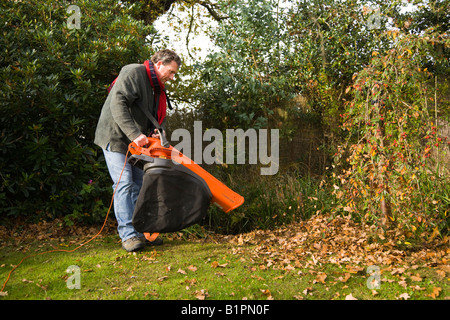 Soufflage des feuilles. L'homme à l'aide d'ACC et le jardin souffleuse à feuilles pour ranger les feuilles d'automne dans un jardin anglais. UK Banque D'Images