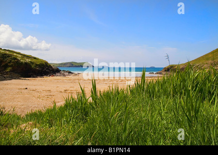 Plage de Polzeath Cornwall uk Banque D'Images