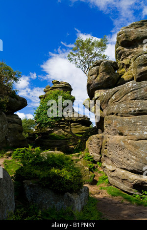 Brimham Rocks dans Nidderdale dans le North Yorkshire England UK Banque D'Images