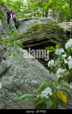 Woman hiking Escarpment Trail Hudson Valley New York State Banque D'Images