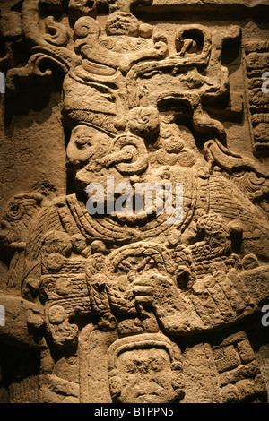 Détail de la stèle 51 de Calakmul, Campeche. Un allégement de Maya dans le Musée National d'anthropologie, le parc de Chapultepec, Mexico Banque D'Images