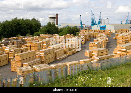 Bois empilé à Goole docks Yorkshire UK Banque D'Images