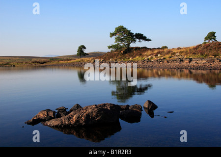 La réflexion sur l'arbre Loch nam Bonnach Invernesshire Beauly Écosse Banque D'Images